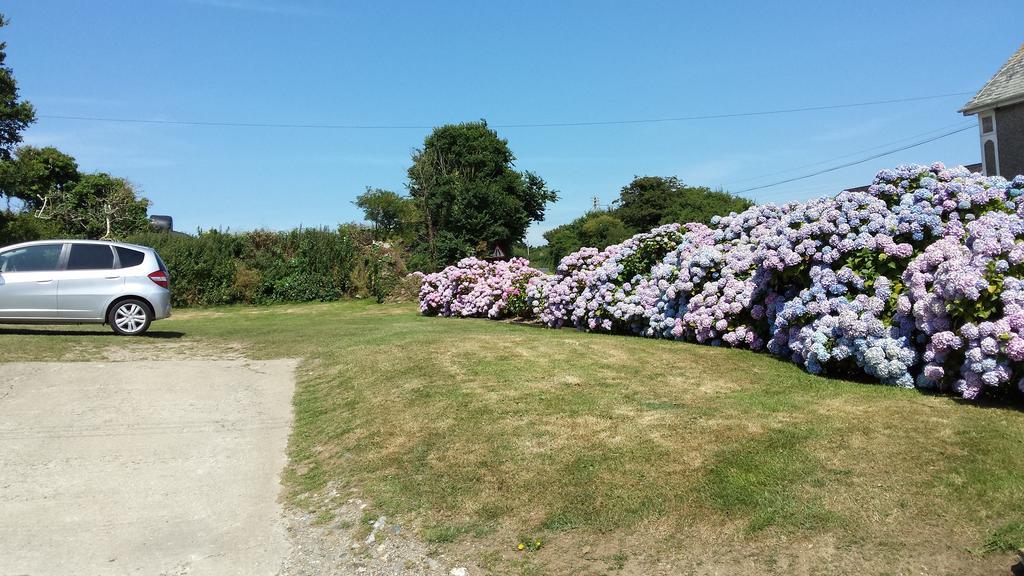 Trewithian Farm B&B Truro Exterior foto